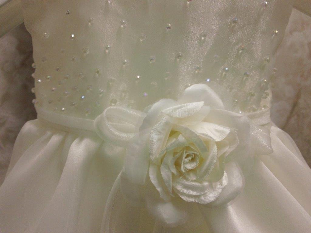 Sleeveless beaded bodice Baby dress with flower